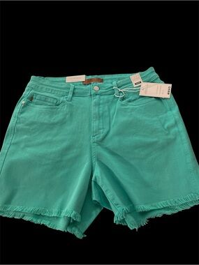 Judy Blue Teal Frayed Hem Denim Shorts